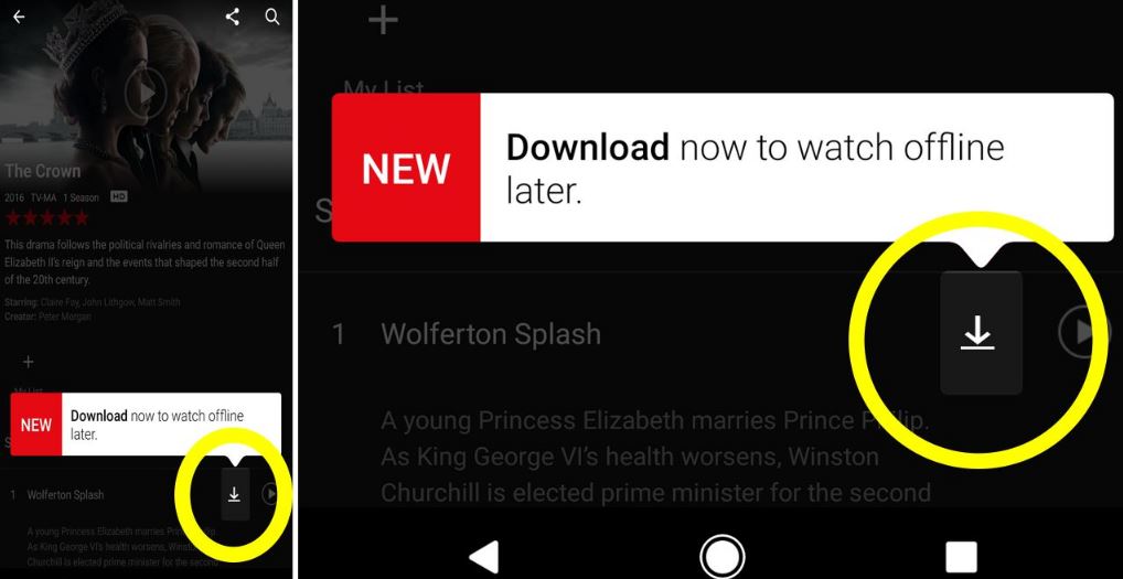 How To Download Videos from Netflix to Your Phone